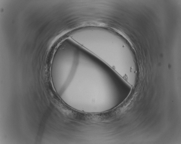 X0000077970971200610270849