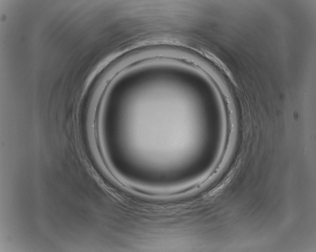 X0000077970981200610270848