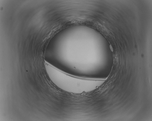 X0000077971012200610270847