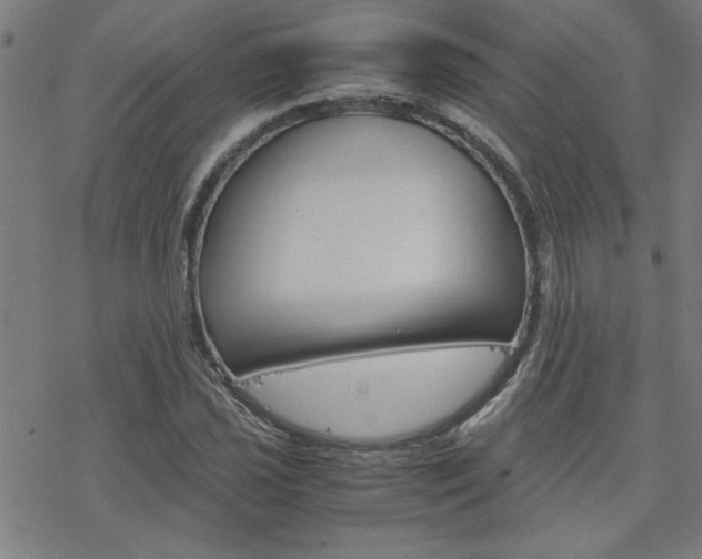 X0000077971021200610270847