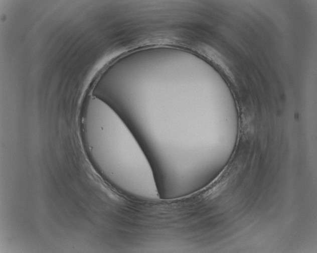 X0000077971035200610270848