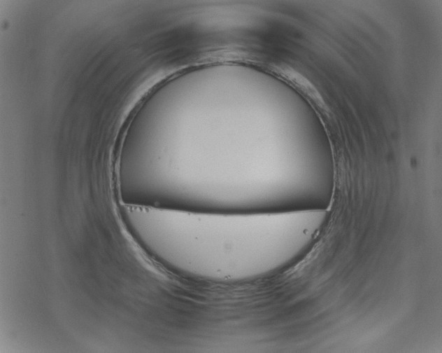 X0000077971039200610270848