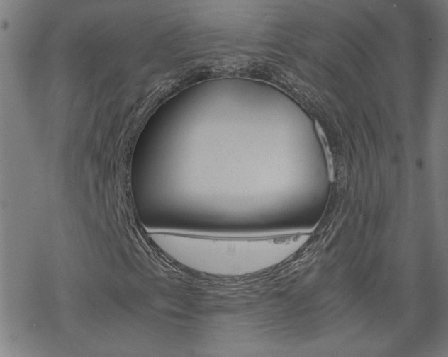 X0000077971153200610270846