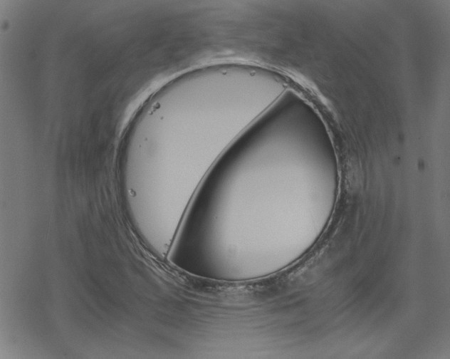 X0000077971167200610270845