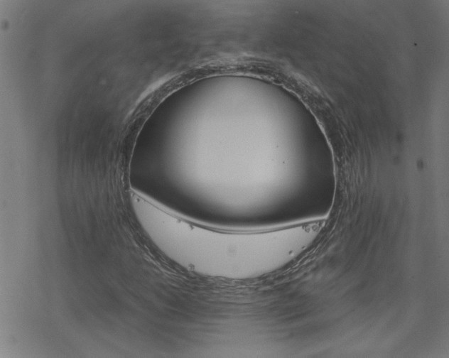 X0000077971206200610270844