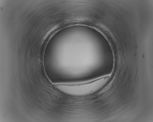 X0000077971210200610270844