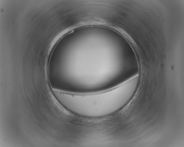 X0000077971246200610270845