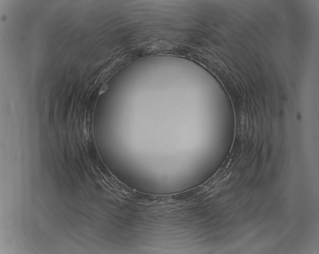 X0000077971250200610270844