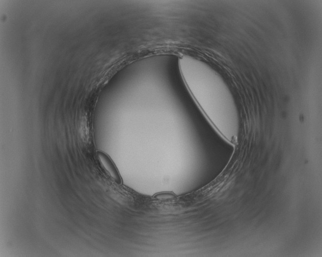 X0000077971252200610270844