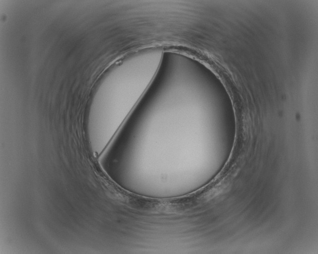 X0000077971265200610270844