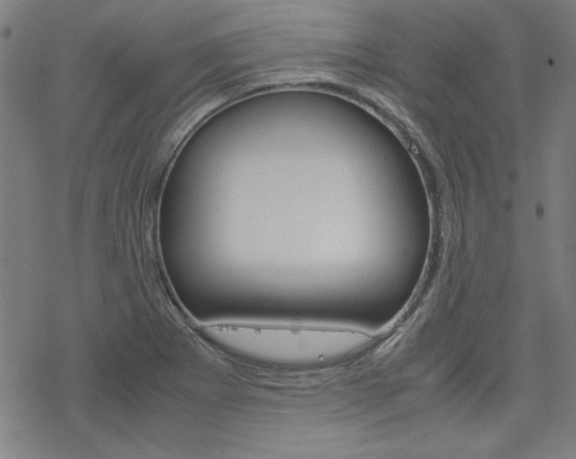 X0000077971273200610270844