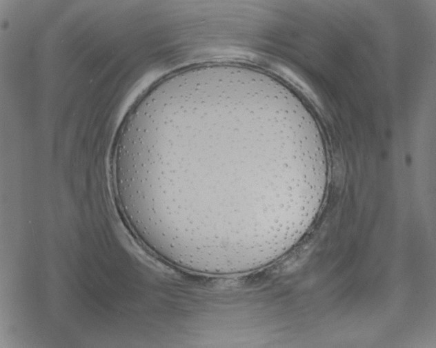 X0000077971283200610270843