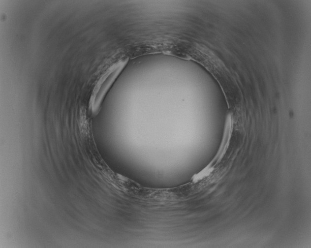 X0000077971298200610270843