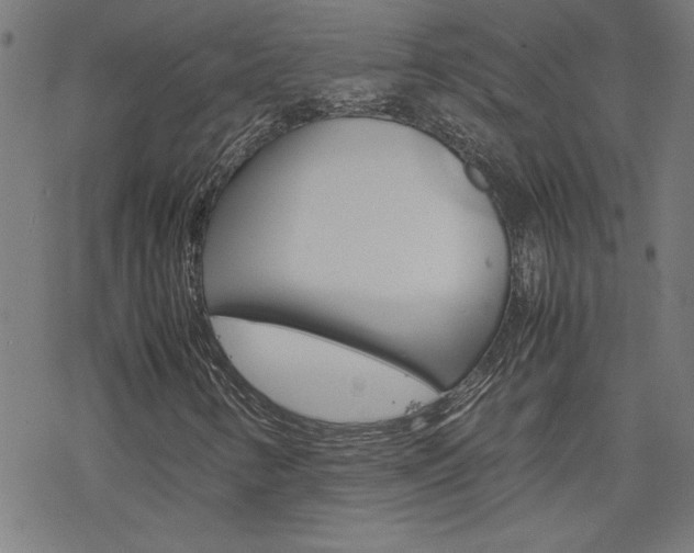 X0000077971346200610270842