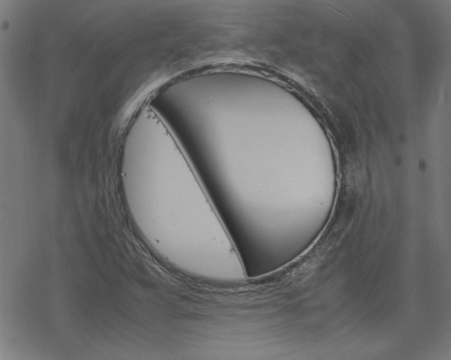 X0000077971359200610270842