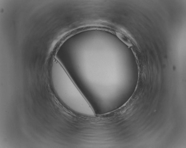 X0000077971360200610270842