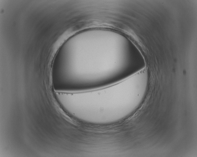 X0000077971371200610270842