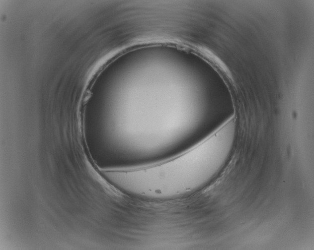 X0000077971380200610270842