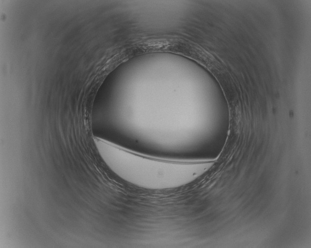 X0000077971394200610270841