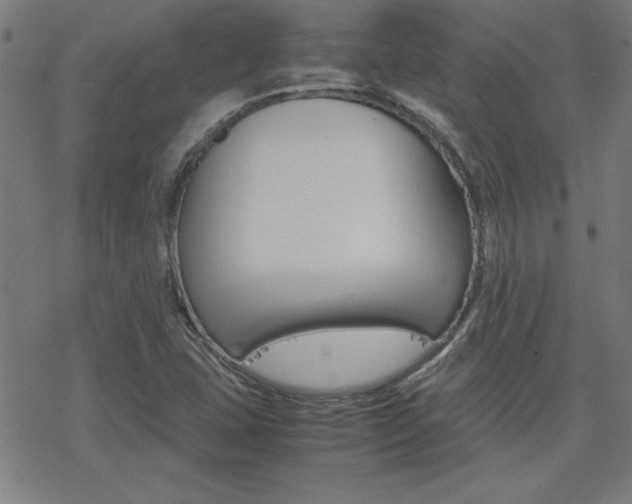 X0000077971407200610270841