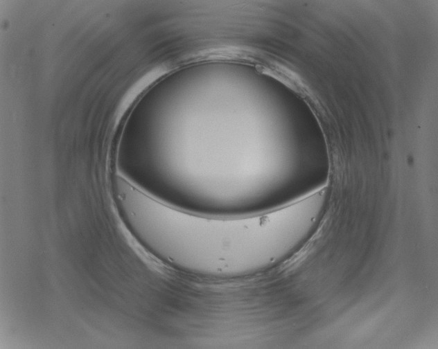 X0000077971426200610270841