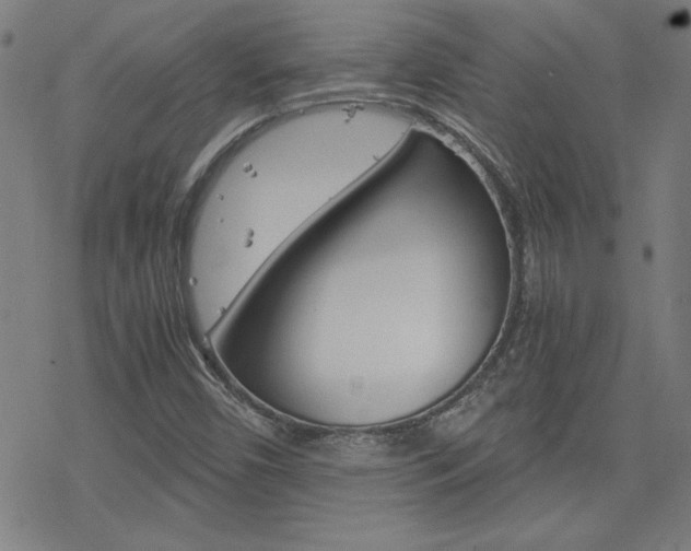 X0000077971450200610270841