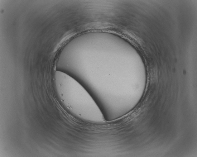 X0000077971451200610270841