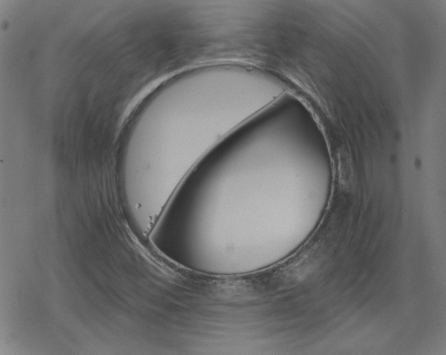 X0000077971452200610270841