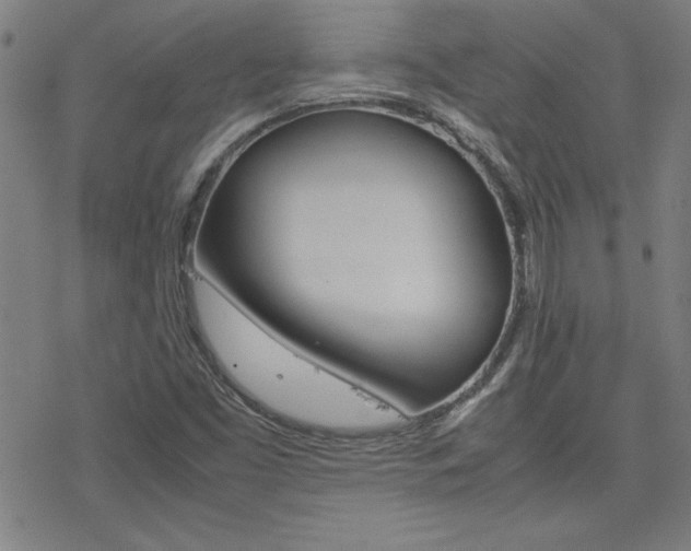 X0000077971453200610270841