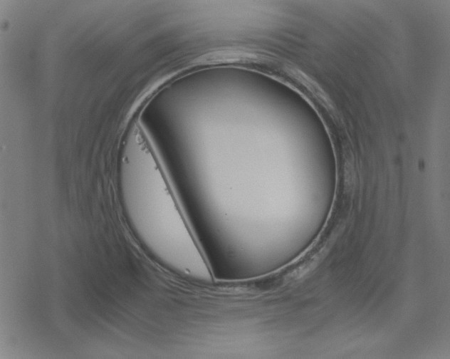 X0000077971465200610270841