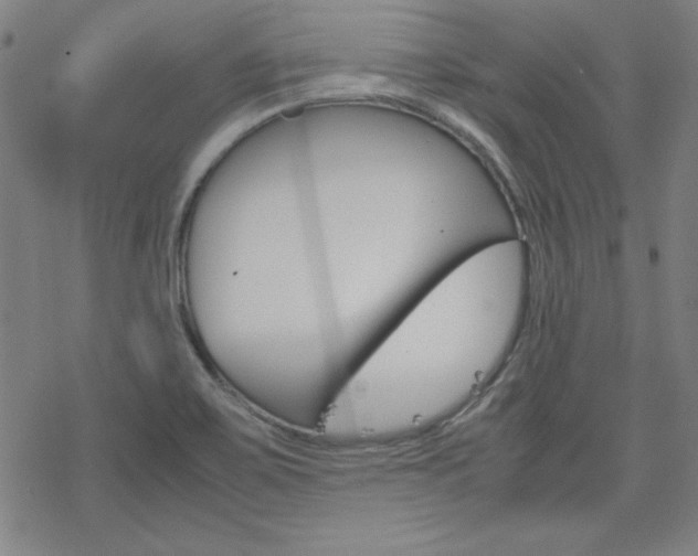 X0000077971467200610270841