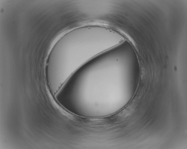 X0000077971483200610270840