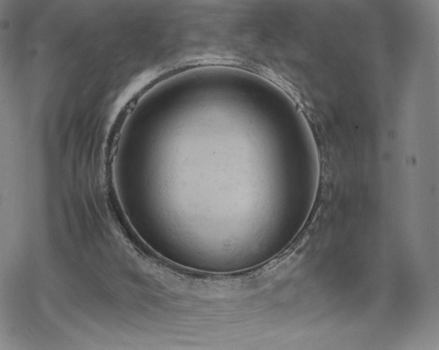 X0000077970008200610271146