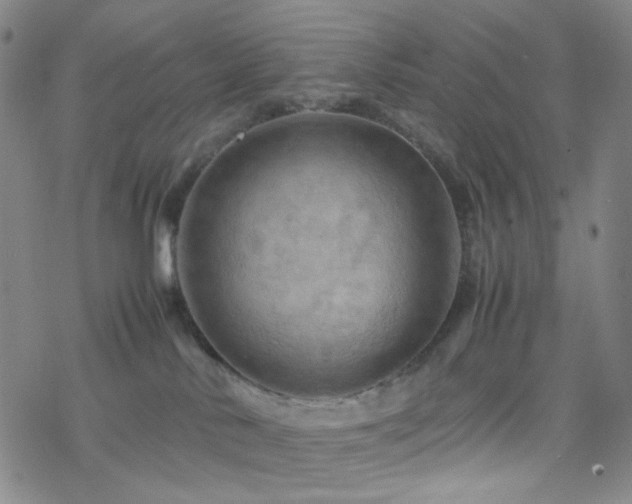 X0000077970042200610271145
