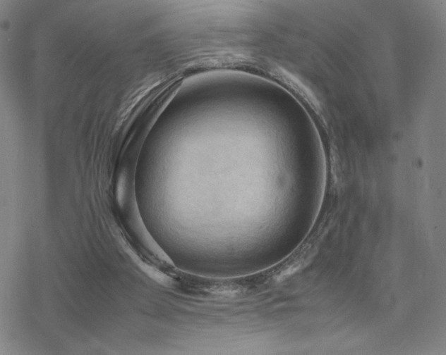 X0000077970105200610271144