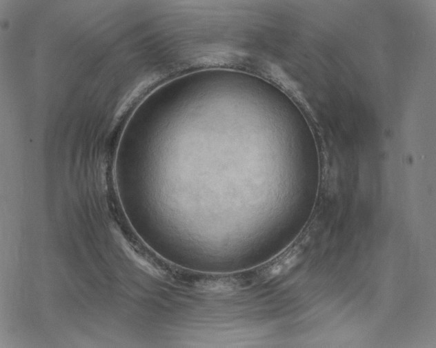 X0000077970106200610271144