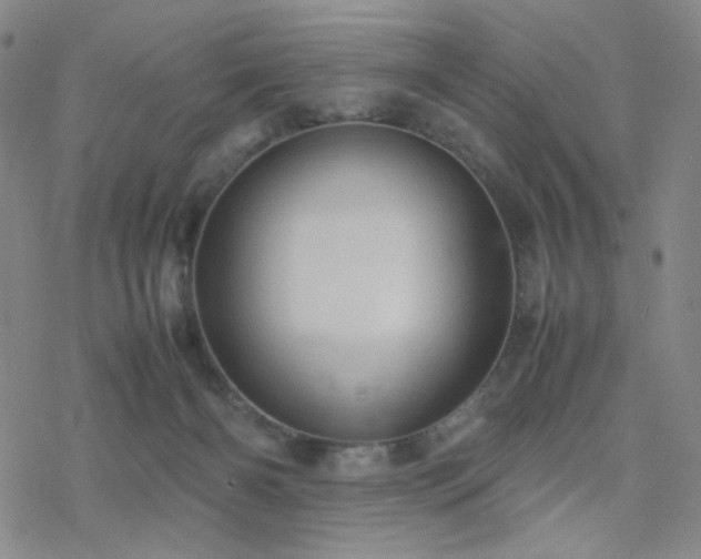 X0000077970126200610271144