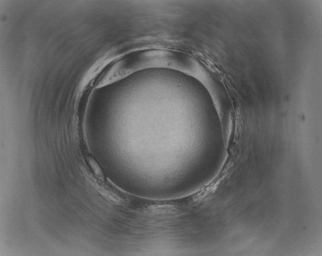 X0000077970150200610271143
