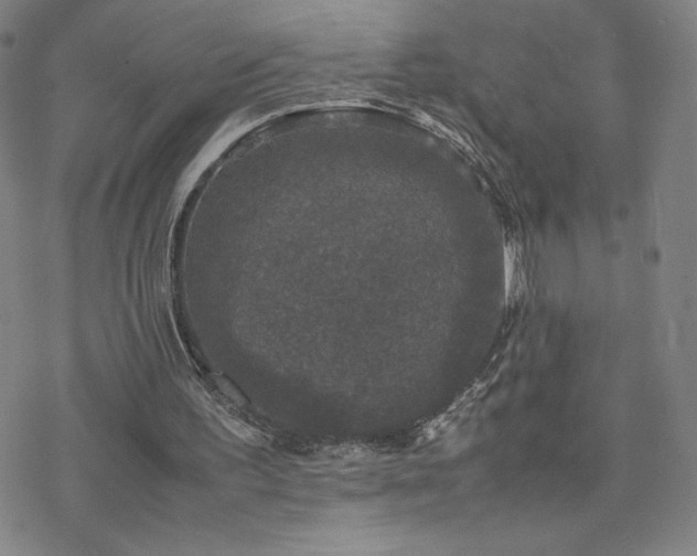 X0000077970195200610271143