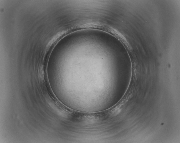 X0000077970298200610271141