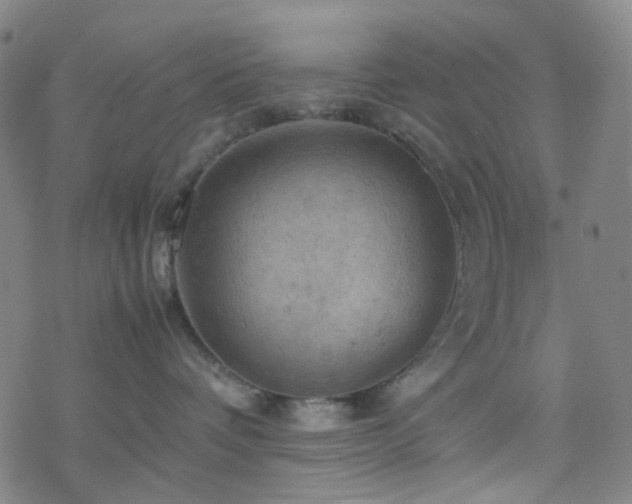 X0000077970336200610271140