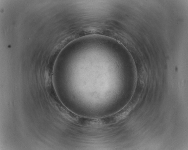 X0000077970420200610271139