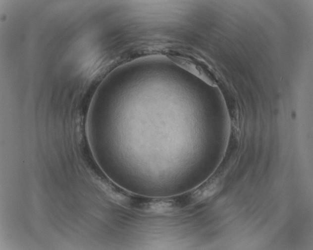 X0000077970462200610271138