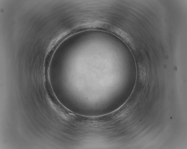 X0000077970486200610271138