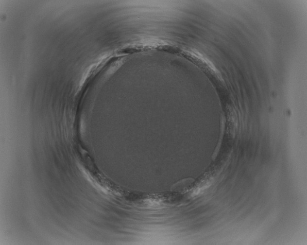 X0000077970496200610271138