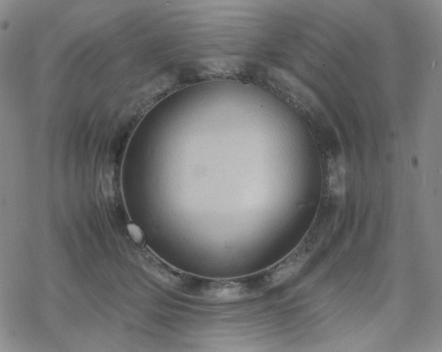 X0000077970514200610271137