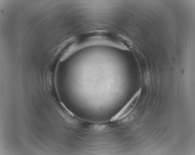 X0000077970570200610271137