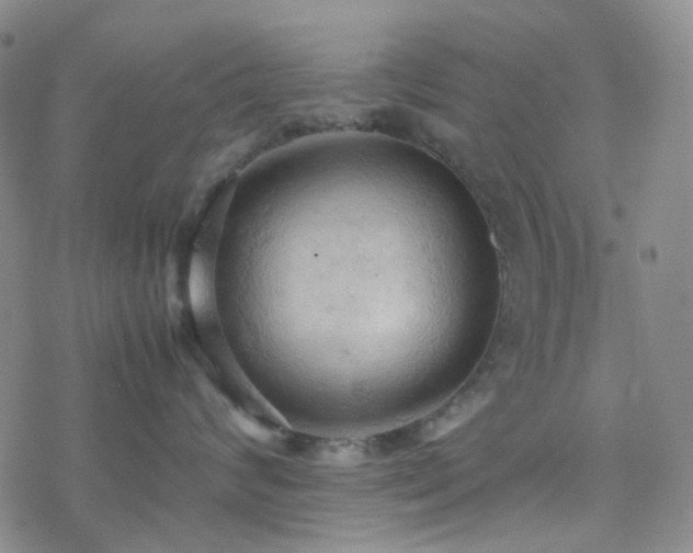 X0000077970624200610271136