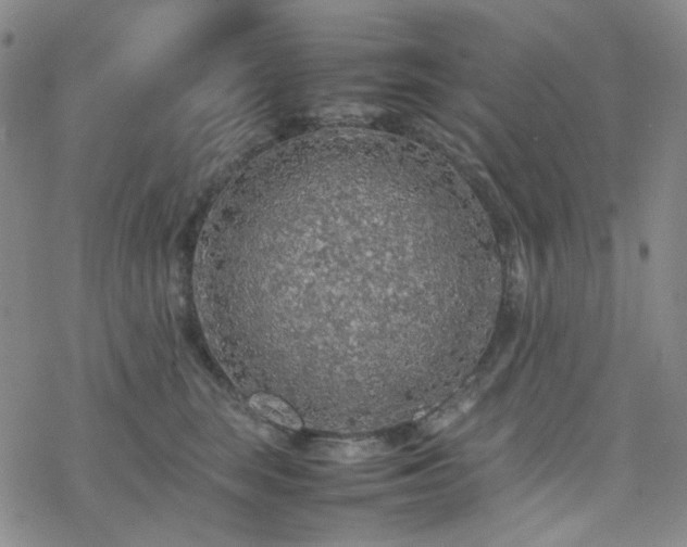 X0000077970663200610271135