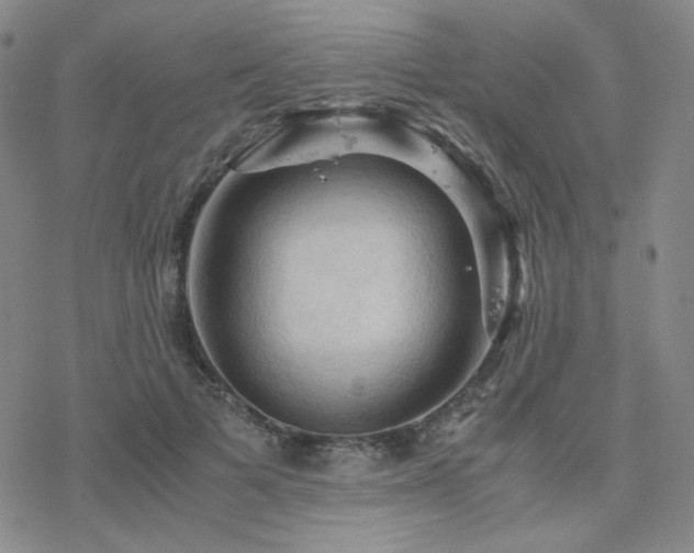 X0000077970697200610271134